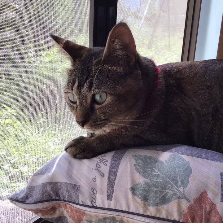 Dc63f976 9bc9 43ff 9bf8 5796b0d41654 1600739678987