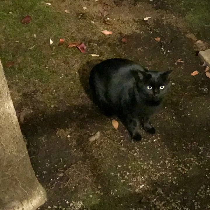 Dc641d0c d9dd 4552 9e36 3f4f3ebe5232 1512983039045