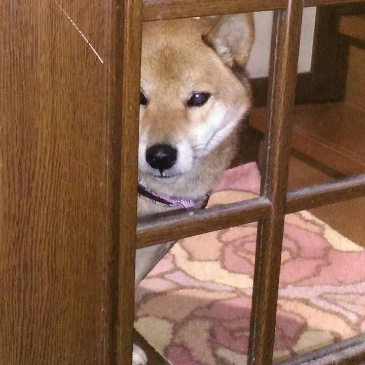 Dc642c80 5e6b 4ccb 8059 db5526e7bd8b 1509976312697