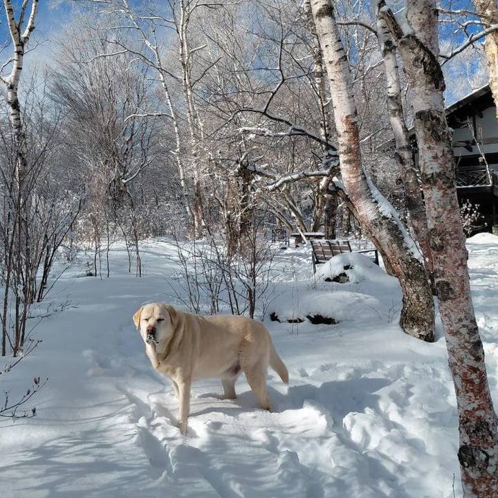 Dc645239 4da0 458a 9dbf 4fc2431d2a77 1770868048145