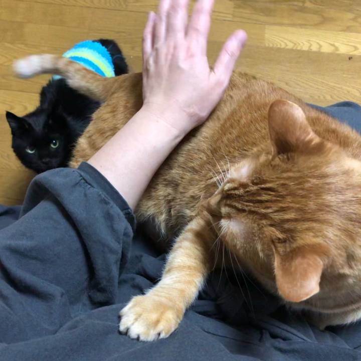 Dc647d60 fd39 4478 a5e6 73e7b5fdb186 1611662732547