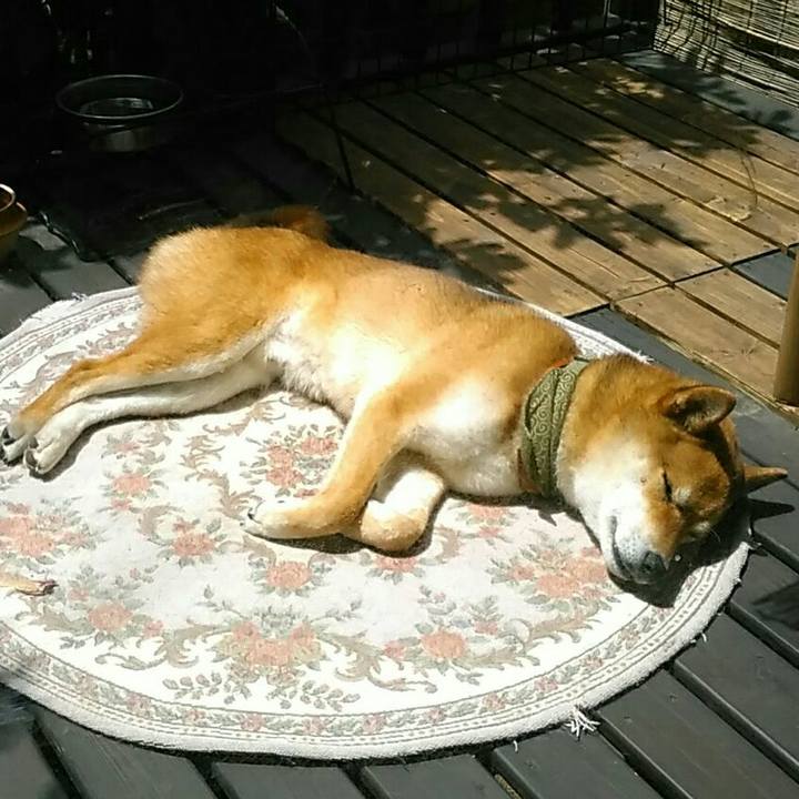 Dc648ca6 cfc8 43f0 8154 c04dda36af3f 1528422183130