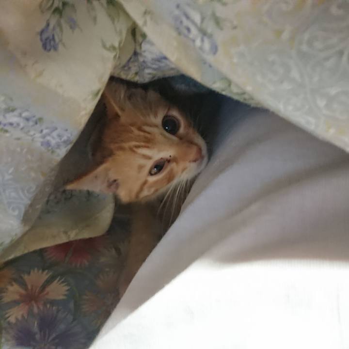 Dc64e8da 4c30 42e0 b27e f0b57a406d45 1630010783405