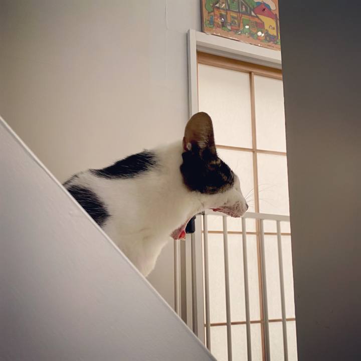 Dc651058 749e 424a b2ed f39fa29df25d 1602744353634