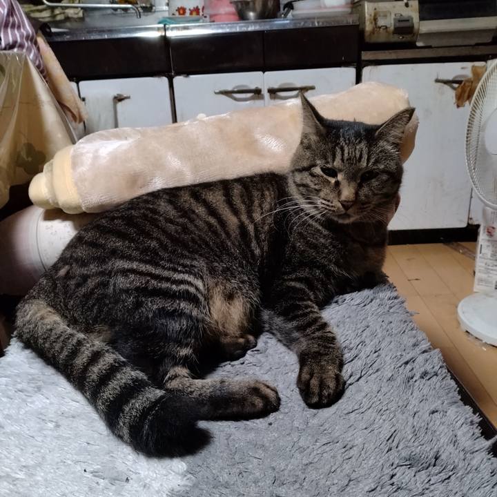 Dc651c78 926c 4b9f 8c18 a1867886731e 1666431186167