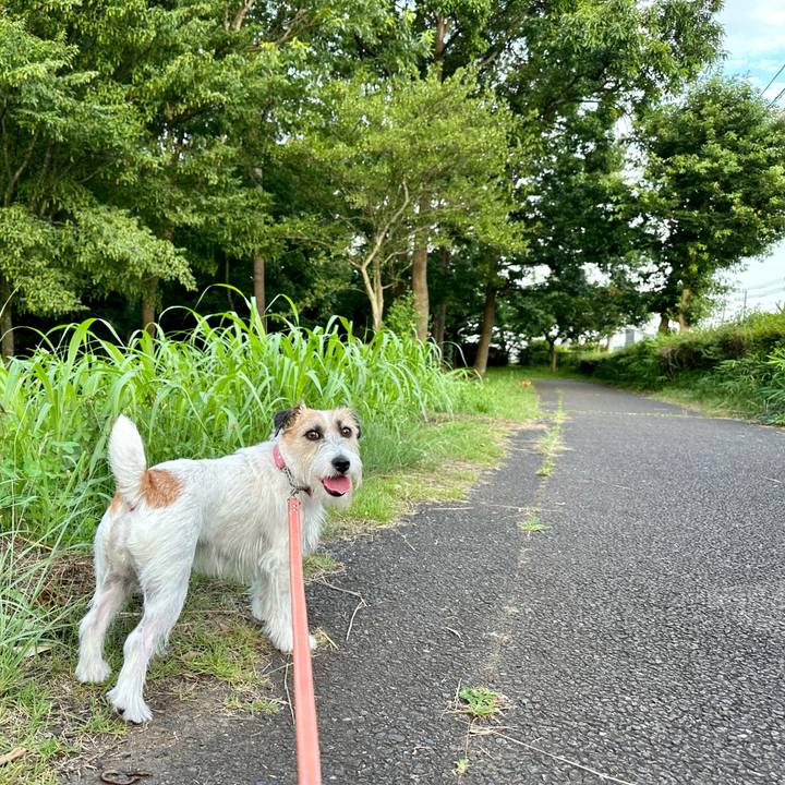 Dc651eee 44b2 4fde ad5b 7e9fd2efb4b1 1688997559968