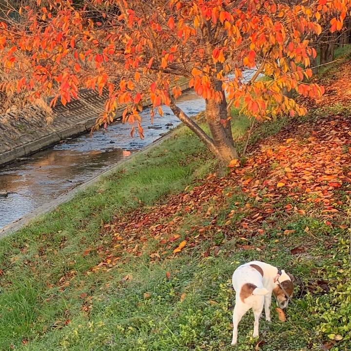 Dc657341 2ed4 48a3 99c4 7356d7d47296 1543749727772