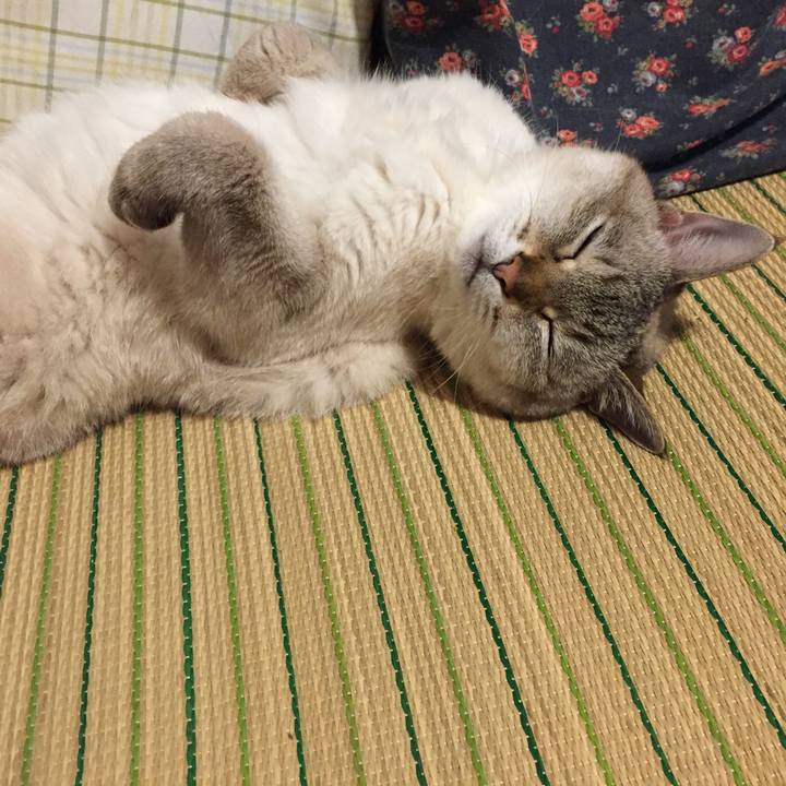 Dc65bdc0 7f80 47d8 9d20 be4077f37b50 1560426623798