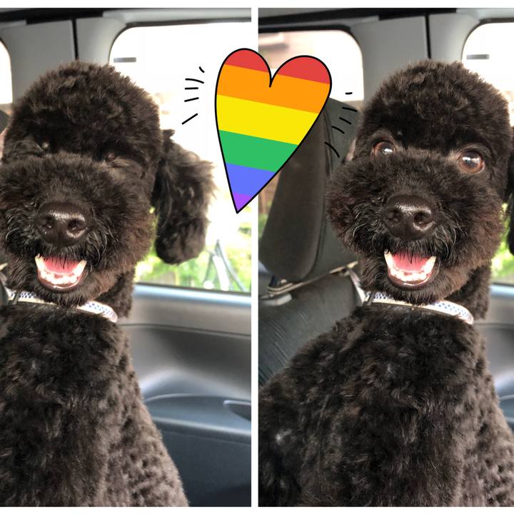 Dc65c078 dcb1 49c2 abef 46ae28990803 1524958361541