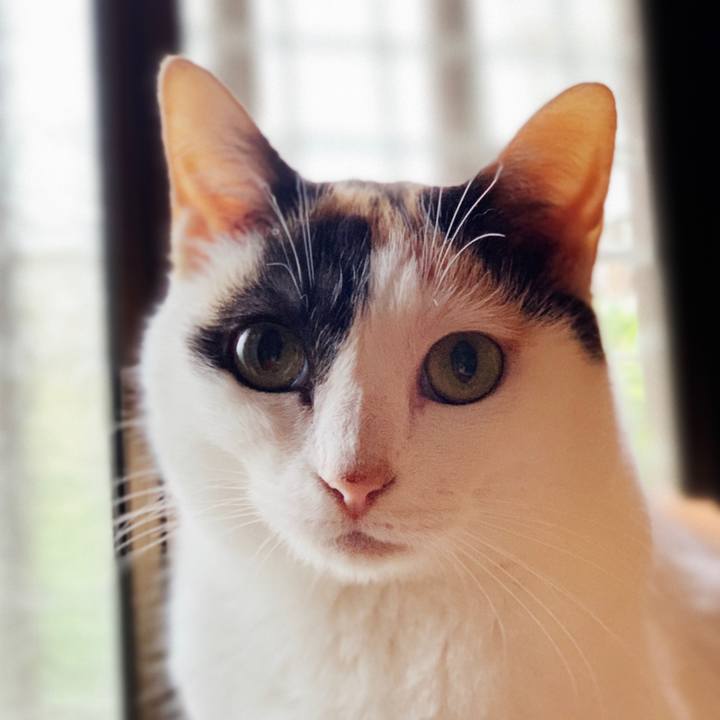 Dc65fddb a0e6 470c b131 8f9192af2945 1595296961405