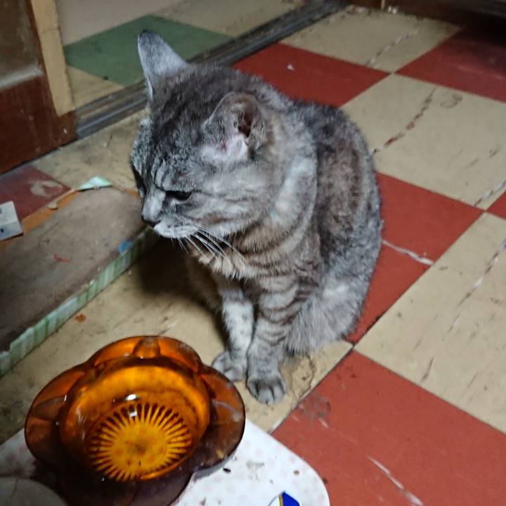 Dc663835 ef1a 4903 be3a e690e018e011 1566936058631