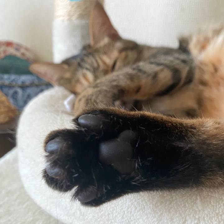 Dc663b11 d764 4f6a 85e1 9df1eb550ebb 1659396245331