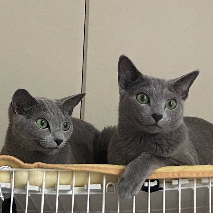 Dc667728 cd44 4d14 ac43 0fe2cc9a7bde 1628401196021