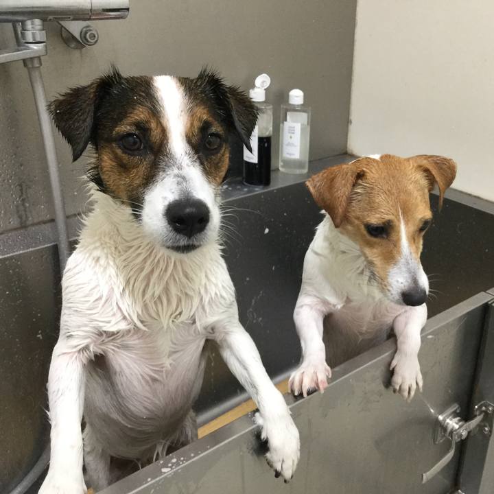 Dc667d75 fc64 4acd 9b87 49bc5063e2b0 1540347864532