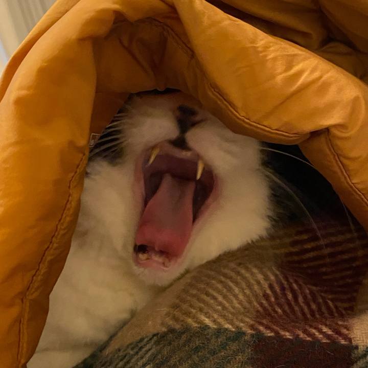 Dc6683f2 107f 4f05 833e e94f302ad7ad 1716288547483