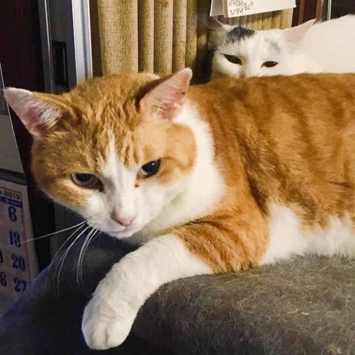 Dc668576 c2ad 44c8 8036 60ff3760a6ef 1559098666460