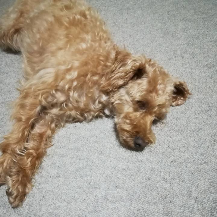 Dc669a41 5f7a 4cf0 8973 1cb0d2db7f32 1567771283906