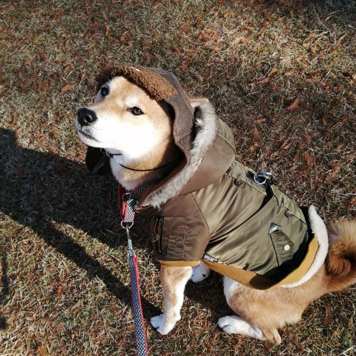 Dc66a65a b220 4cea 84ae 40e4a8e9c1ab 1608165887988