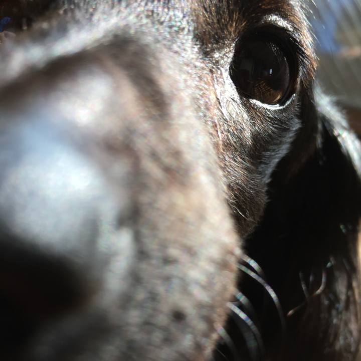 Dc66ae84 1461 4127 b1f3 77e8abd47979 1734707524021