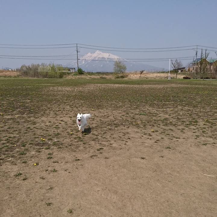 Dc671fad 470b 463b b495 93e269c8c483 1524967809644