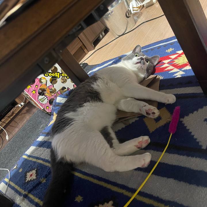 Dc672c7b dfd7 4a2c bf5a 94f5c28c6ff4 1686661505127