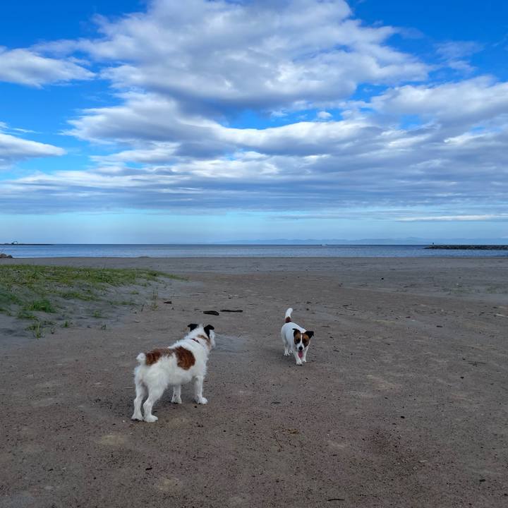 Dc675690 a07a 4e03 b201 fb6449a49505 1752448166778