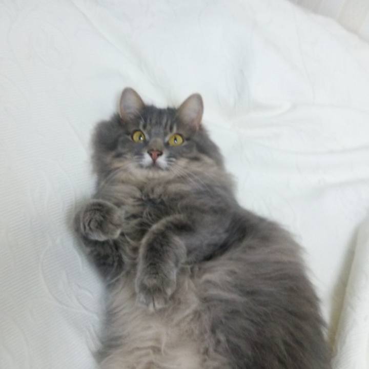 Dc678570 13f9 4934 a684 b78e4784790e 1531818895875