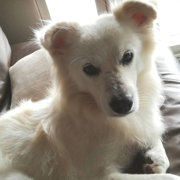 Dc679a3a 3997 47a1 88d1 443010a7de25 1508371225956