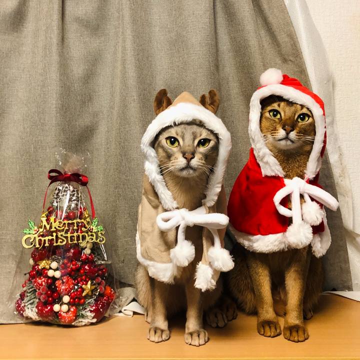 Dc6823ef 8393 4129 8fa7 9b95dec8f830 1764071579523