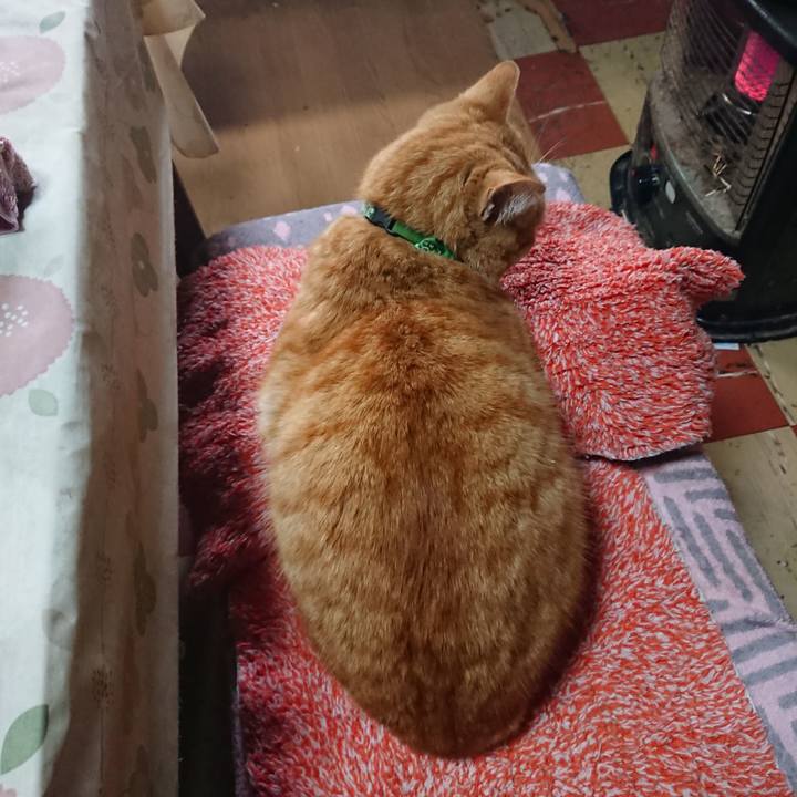 Dc683fab 1869 44e2 81d2 33cff3c36d7b 1584675229149