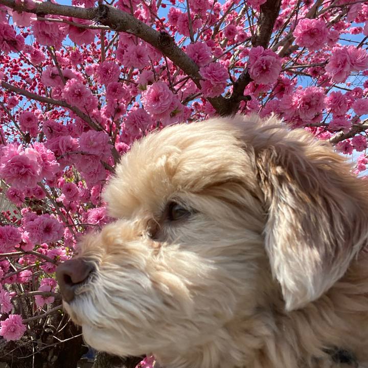 Dc687a51 d771 43cb 92c5 97d3398119e1 1586493893354