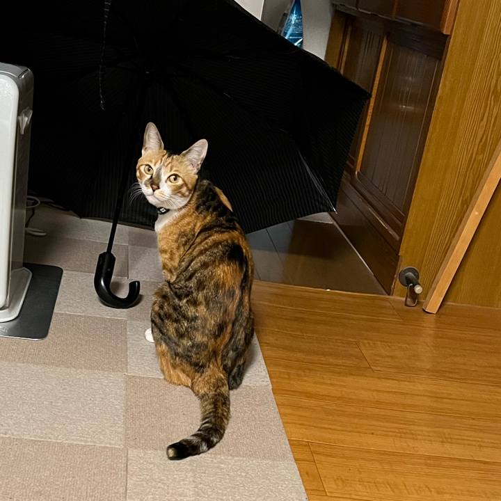 Dc68a57d 7983 4f48 b6b7 0365165e4f65 1773893621346