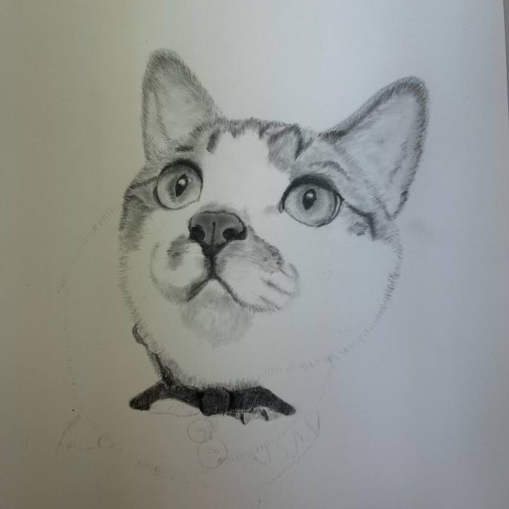 Dc68a9c9 b3d8 409e 8eb7 1b48892a3b52 1756967876195