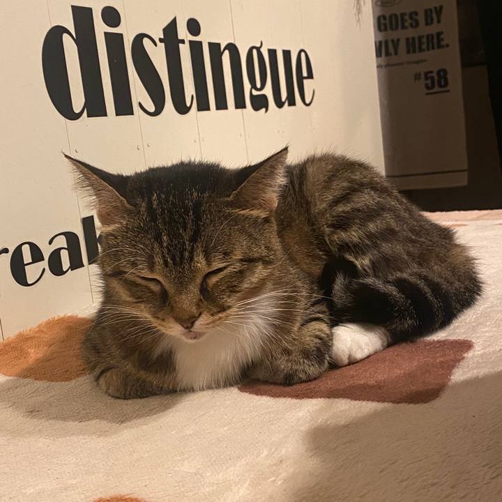 Dc68b8b1 b83c 4e32 9bbf 8a6b1c914f09 1600980918509