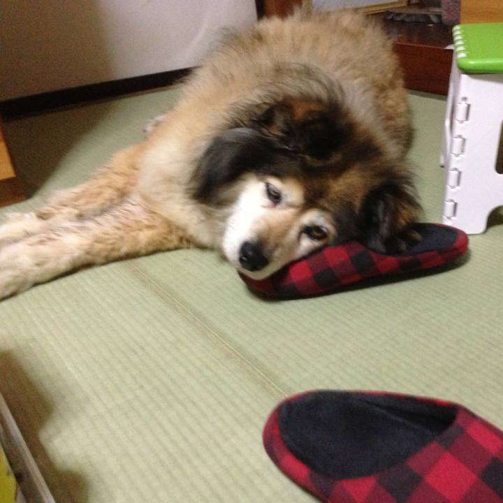 Dc690f92 c831 4093 8857 ff6e8f8c1d1e 1609030999241