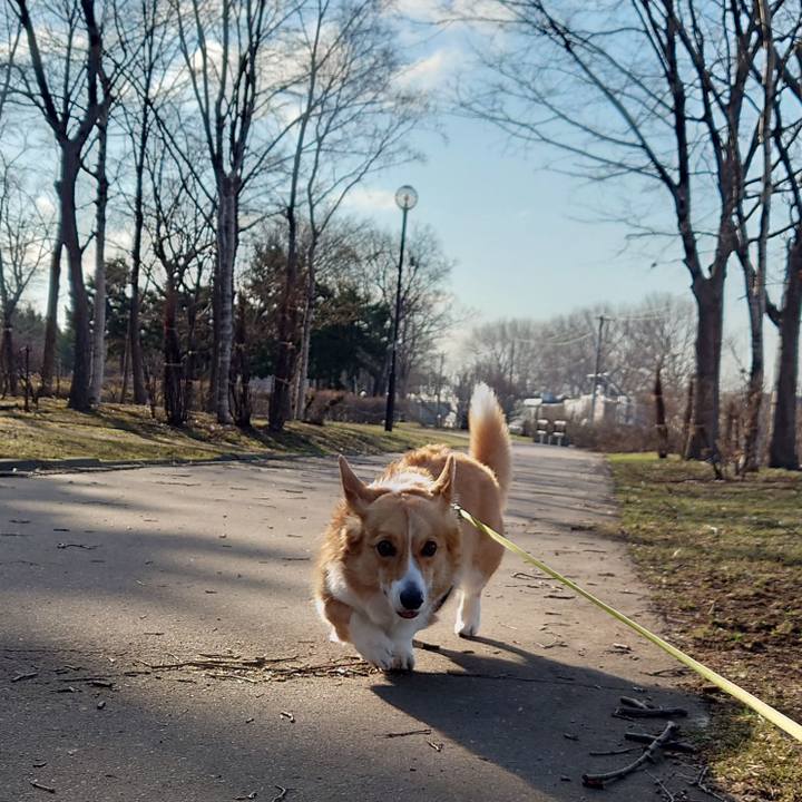 Dc6968a0 0ab3 48d1 bcdc 6cf48a17223f 1775173505029