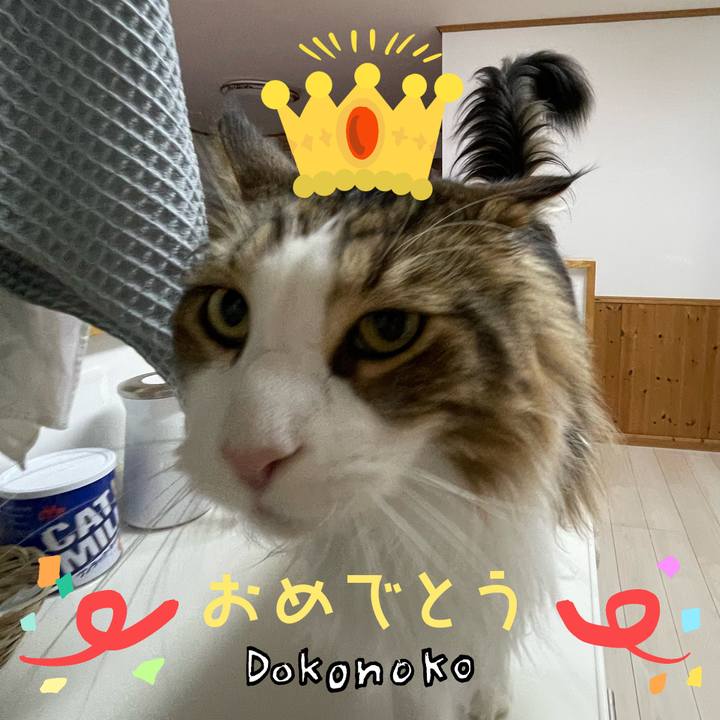 Dc6971f9 4adf 444c 9a6a 0cb0c85676cc 1685951298362