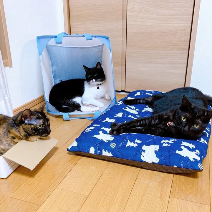 Dc698584 165f 46d3 88de e5e39d88860e 1565708519307