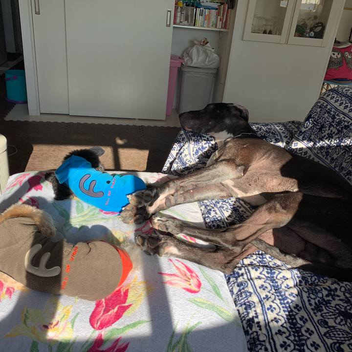 Dc69a58c a4b8 4452 b78e 724bfdc65cd4 1546476997784