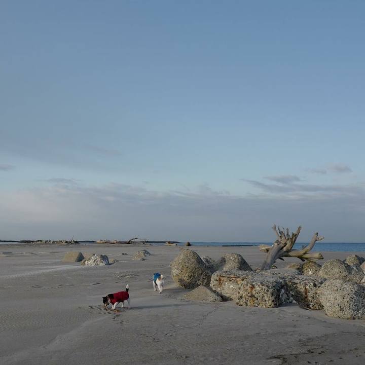 Dc69a76e e4aa 426b 964e 2038e2cc6027 1516426278569