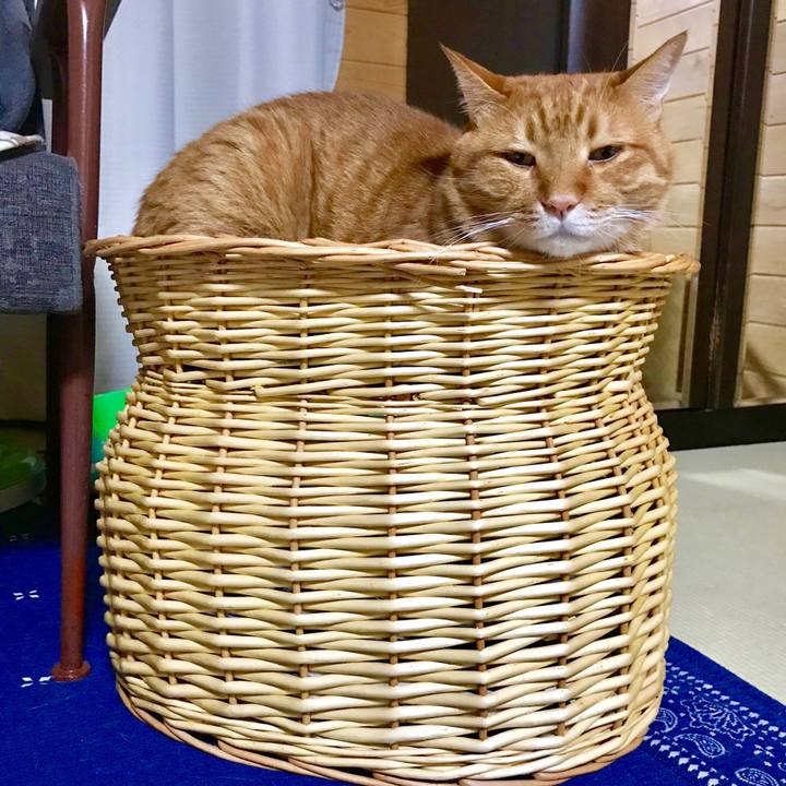 Dc69a9be 8516 4d84 9c14 61471e93f120 1532515755888