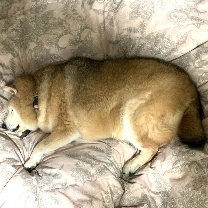 Dc69cabe 4f19 460f b82b d4c8db2960da 1647006239588