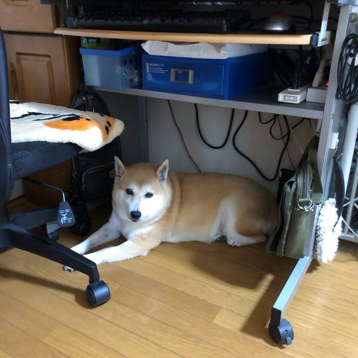 Dc69d546 bf99 44ab bbda 2f493a3f32fd 1567770347785