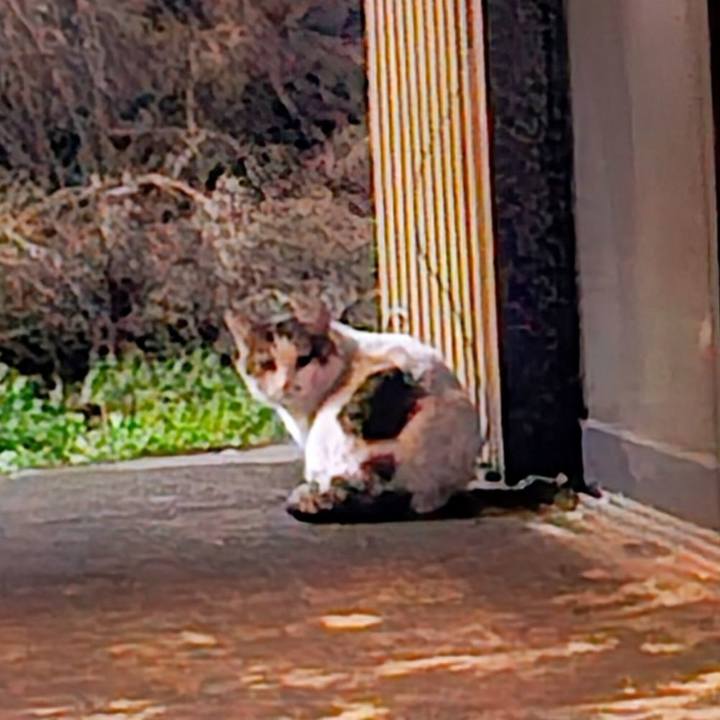 Dc69dee1 9b25 46ec bcc2 bd673bac0fe8 1742098603501