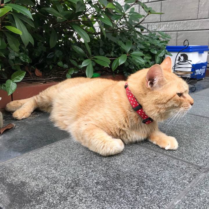 Dc6a11f9 fb07 43b3 a756 9592d1ac849b 1531124575026