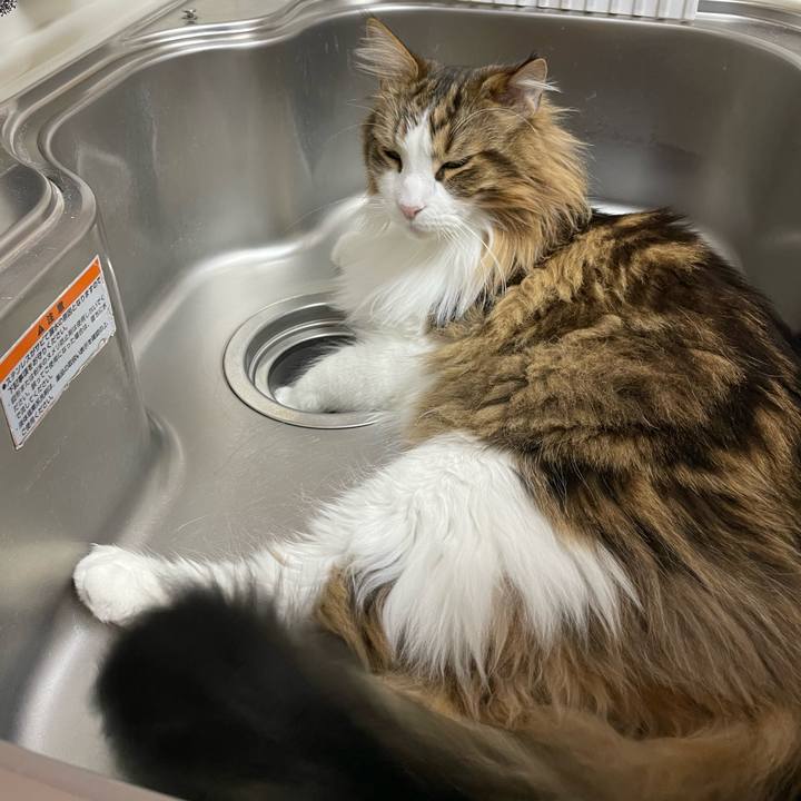 Dc6a789b b38b 41c9 ac44 1fd0d695592d 1673208403047