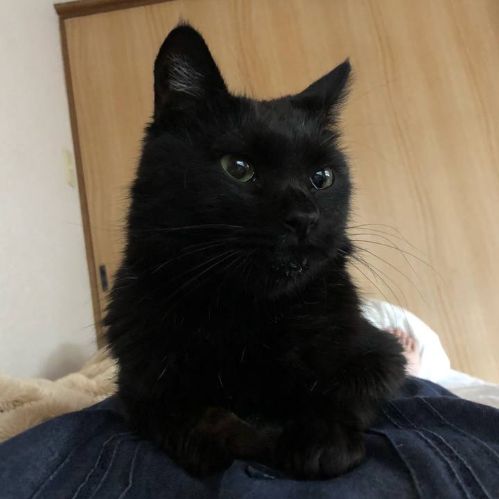 Dc6ae351 4d02 48ba 8149 6e6302949252 1622705588941