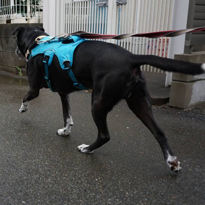 Dc6af9ac d370 4386 9764 08be0947c1fb 1758324761540