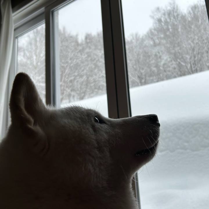 Dc6b0c12 9861 4148 a86d be4b063164f8 1708649783744