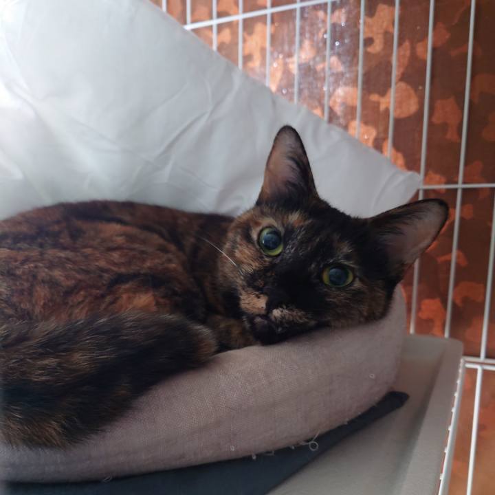 Dc6b1f05 5814 48d5 bb4a 6250c7232e5f 1673833462819